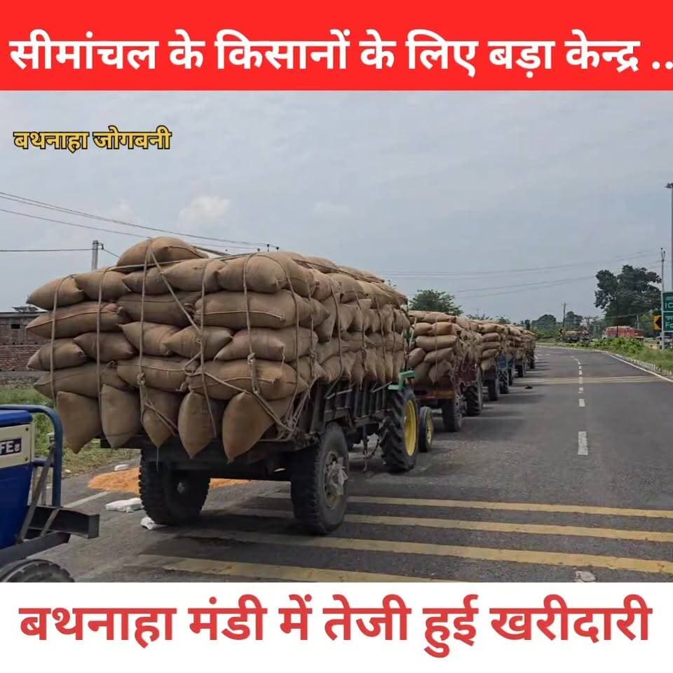 सीमांचल के किसानों के लिए बड़ा केंद्र बना अररिया का बथनाहा मक्का रेट पॉइंट! Araria Bihar
#Araria #मक्का #Makka #Farmer...