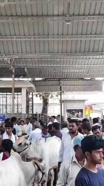 రాజన్న ఆలయంలో మొక్కులు చెల్లించుకుంటున్న భక్తులు