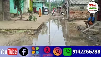 रानी एक पंचायत में जलजमाव की समस्या से परेशान,विषैले कीटाणु से बीमारियों के शिकार News18 India ABP Live Aaj Tak India To...