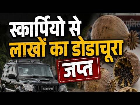 स्कार्पियो से लाखों का डोडाचूरा जप्त | skarpiyo se lakho ka dodachura japt #dodachura #scarpiyo #RJ