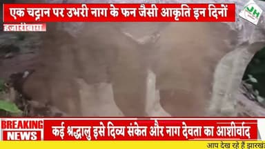 #हजारीबाग बिशाय जंगल में पत्थर पर उभरी नाग आकृति बनी आस्था का केंद्र