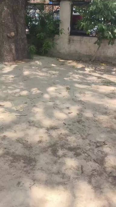 पेड़ से 500-500 रुपये के नोटो की बारिश
उत्तर प्रदेश बुलंदशहर के कचहरी परिसर में एक बंदर जमीन की रजिस्ट्री बैनामा कराने ...