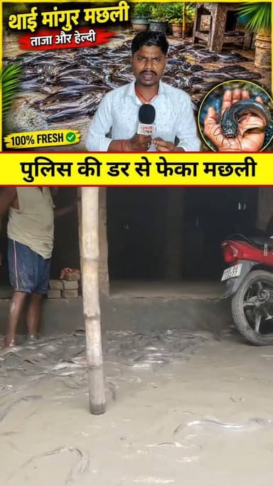 बैंड मछली बेच रहा था पुलिस पहुंचने वाला था,छिपाने की जगह आंगन में ही फेंक दिया😱 #वायरल #live #new #reels #video #viral #...
