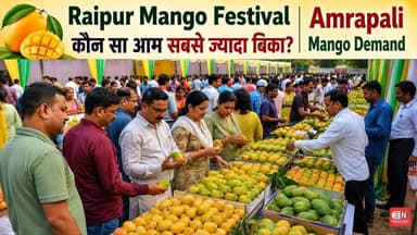 Raipur Mango Festival | कौन सा आम सबसे ज्यादा बिका? | Amrapali Mango Demand hhattisgarhCulture