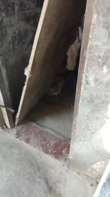 महिंदवारा थाना कांड संख्या 27/21(यौन उत्पीड़न/ छेड़खानी से संबंधित मामले) के अभियुक्त रौशन कुमार एवं संतोष राय दोनों सा०...