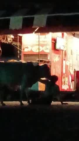 ललितपुर जंक्शन रेलवे स्टेशन पर व्यक्ति शराब के नशे में एक गाय से अपना दुख बांटते हुआ आज के समय में इंसान को #ललितपुर