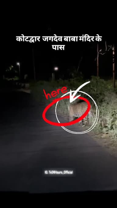 कोटद्वार जगदेव बाबा मंदिर के पास दिखा गुलदार..... Tv24Hours