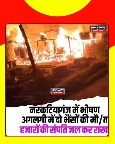 #नरकटियागंज में भीषण अगलगी में दो भैंसों की मौ/_त, हजारों की संपत्ति जलकर राख
#NewsWave
#narkatiyaganj
#narkatiyag...