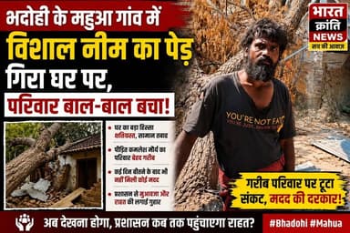 महुआपुर गांव में बड़ा हादसा! कमलेश मौर्य के घर पर अचानक विशाल नीम का पेड़ गिर गया, जिससे पूरा परिवार बाल-बाल बच गया। हाल...
