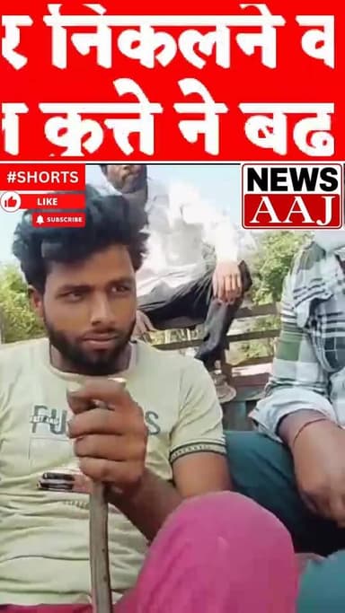 ग्रेटर नोएडा में पागल कुत्ते का आतंक! सफाई कर्मचारियों ने ट्रैक्टर पर चढ़कर बचाई जान #ग्रेटर_नोएडा_ब्रेकिंग
#पागल_कुत्ते...