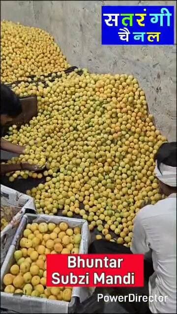 Bhuntar Sabzi Mandi Updates 1st. June 2026.
#bhuntarsubzimandi #solansubzimandi #takolisubzimandi