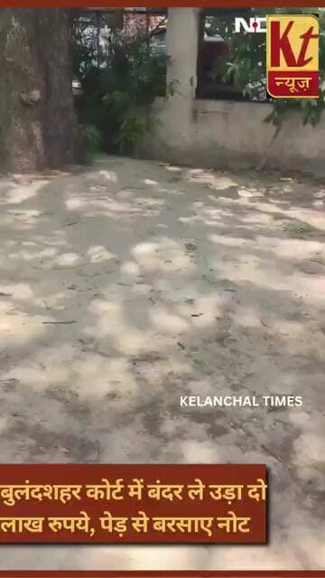 बुलंदशहर कोर्ट में बंदर ने मचाया बवाल, उड़ाए रुपये के बंडल