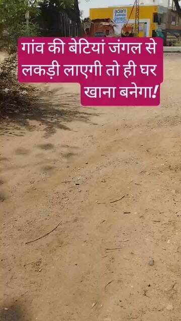 गांव की छोटी बेटियां जंगल में | लकड़ी घर लाएगी तो ही रोटी बनेगी!गैस महंगी या उज्जवला योजना का ?