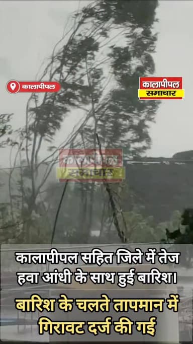 कालापीपल सहित जिले में तेज हवा आंधी के साथ हुई बारिश।
#reels #news #view #viral #kalapipal