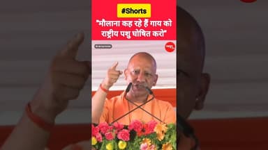 "मौलाना कह रहे हैं, गाय को राष्ट्रीय पशु घोषित करो - CM Yogi #yogi #muslim #viralvideos #cow #reels