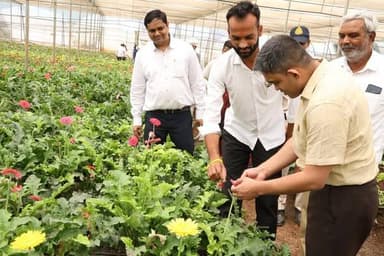 सफलता की कहानी
पारंपरिक खेती से आधुनिक बागवानी तक का सफल सफर
ऑटोमेशन सिस्टम से फूलों की खेती करने वाले भोपाल के पहले क...