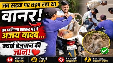 CG Animal Rescue छत्तीसगढ़ के बालोद में बेजुबान की बची जान, पर्यावरण पार्क के पास हुआ बड़ा रेस्क्यू!