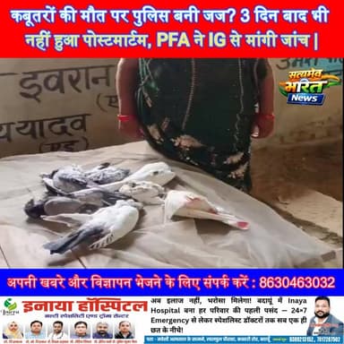 कबूतरों की मौत पर पुलिस बनी जज? 3 दिन बाद भी नहीं हुआ पोस्टमार्टम, PFA ने IG से मांगी जांच | #Badaun #Sahaswan #Kabootar...