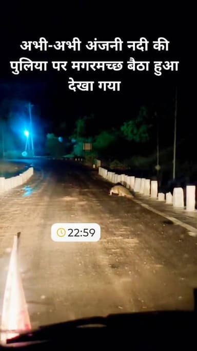 अभी-अभी अंजनी नदी #गरोठ की पुलिया पर मगरमच्छ बैठा हुआ देखा गया