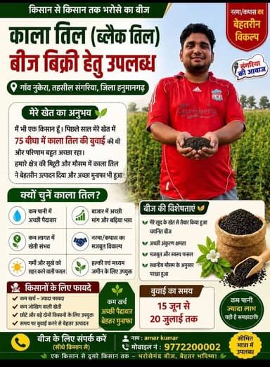 किसान से किसान तक भरोसे का बीज
#काला_तिल (ब्लैक तिल) बीज बिक्री हेतु उपलब्ध
बेहतरीन विकल्प
#गॉव_नुकेरा, तहसील संगरिया, ज...