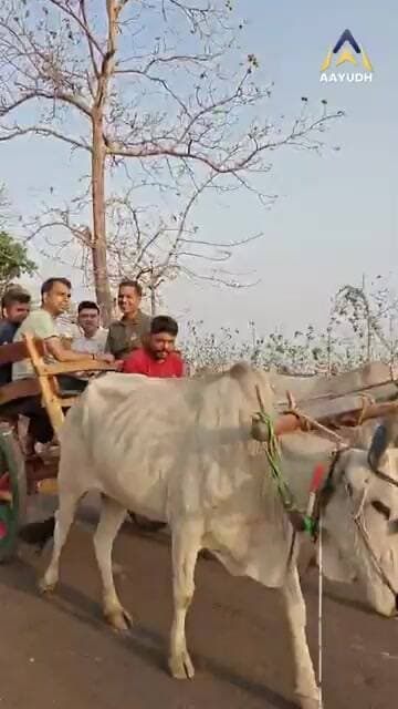 MP Tourism का बड़ा बदलाव! कलेक्टर ने गांव में बिताई रात, चूल्हे पर खाया खाना