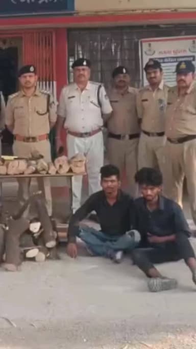 चंदन चोर गिरोह का पर्दाफाश, 5 आरोपी गिरफ्तार
सतना। नागौद पुलिस ने चंदन के पेड़ों की चोरी करने वाले गिरोह का खुलासा करते ...