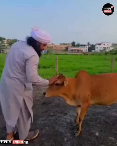 मौलाना साहब क्या कह रहे है सुनिए #salamindia18 #video #LatestNews #HindiNews #news #shorts