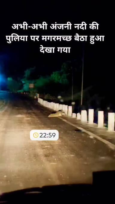अंजनी नदी गरोठ के कायाकल्प अभियान का निरीक्षण करने मगरमच्छ महाराज भी पधारे! 🐊
प्रकृति का अनोखा संदेश — नदी बचेगी तो वन्य...