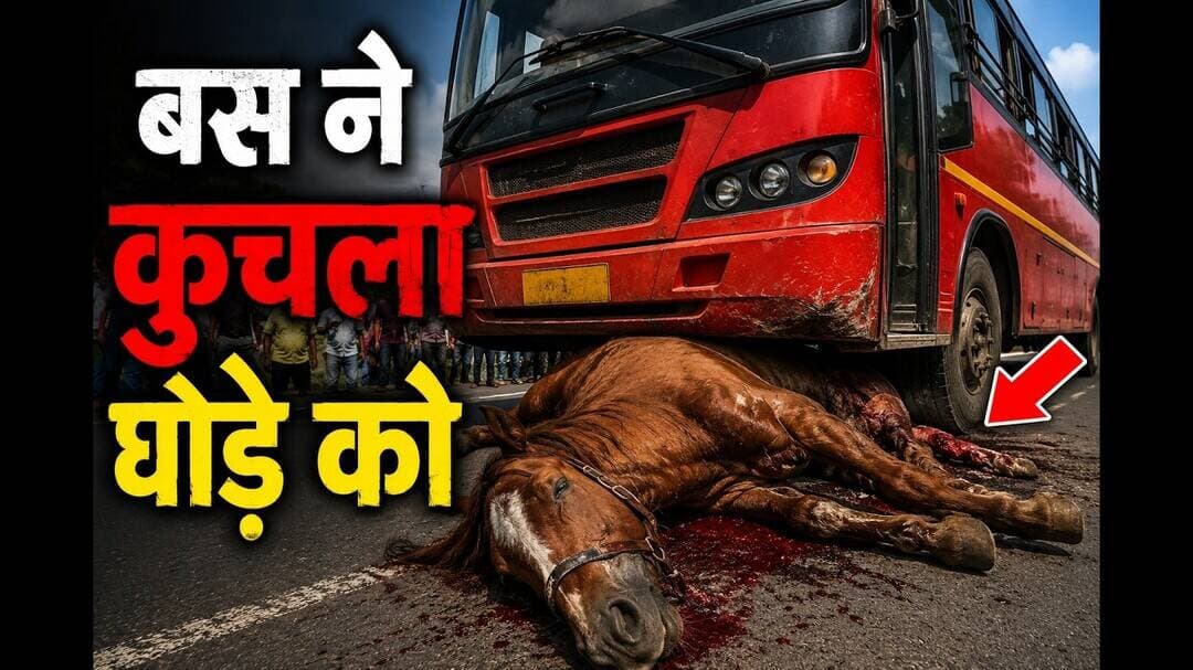 बस ने घोड़े को कुचला #मुम्बई #न्यूज़ #भयंदर #mumbaicrime1