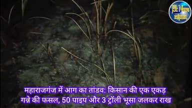 महाराजगंज में आग का तांडव: किसान की एक एकड़ गन्ने की फसल, 50 पाइप और 3 ट्रॉली भूसा जलकर राख