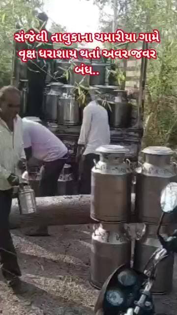સંજેલી ચમારિયા ગામે વાવાઝોડાથી મોટું વૃક્ષ ધરાશાયી માર્ગ બંધ થતાં વાહનચાલકો અને ગ્રામજનો મુશ્કેલીમાં