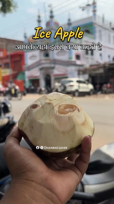 आपलोग क्या कहते है इससे??
#dhanbad #iceapple #reels #jharkhand #bihar