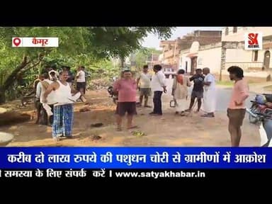 कैमूर के कुदरा थाना क्षेत्र में बेखौफ चोरों का आतंक, घर के सामने से तीन भैंसें चोरी #news #Theft
