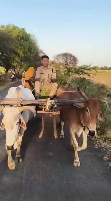 महोबा में डिप्टी एसपी बेलगाड़ी हॉंककर ये संदेश दे रहे हैं की पेट्रोल डीजल बचायें और बेलगाड़ी चलायें सीओ रविकांत गौड़।