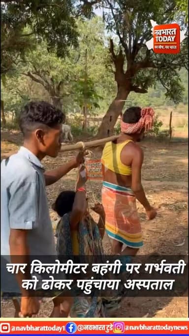 गुमला: 21वीं सदी में भी बदहाल व्यवस्था: गर्भवती को चार किमी बहंगी पर ले जाने को मजबूर हुए ग्रामीण
#JharkhandNews #Break...