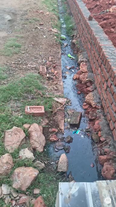 पनागर - नगर पालिका परिषद कटंगा कॉलोनी गुरुनानक वार्ड में नाली का गंभीर समस्या फिर भी प्रशासन नहीं दे रहा @पनागर @जबलपुर
