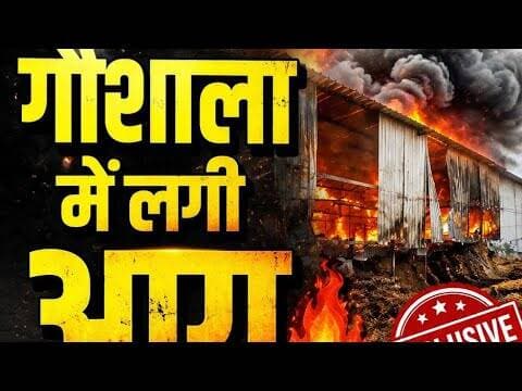 🔥 गौशाला में लगी भीषण आग! मचा हड़कंप, बचाव कार्य जारी.....#kaithal #kaithalpublictv #instareels
