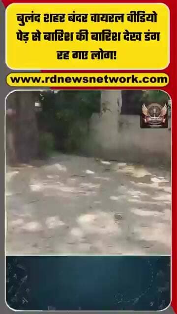 बुलंद शहर बंदर वायरल वीडियो | पेड़ से बारिश की बारिश देख डंग रह गए लोग!