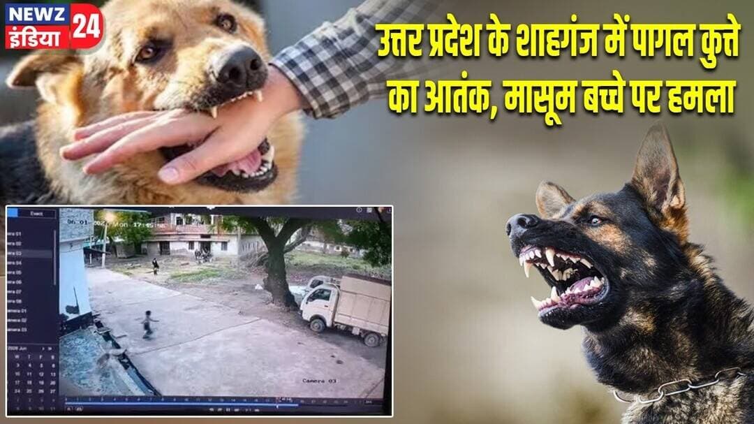 "उत्तर प्रदेश के शाहगंज में पागल कुत्ते का आतंक, मासूम बच्चे पर हमला" | #shahganj | Uttar Pradesh |