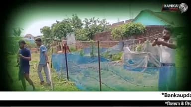 अमरपुर में रास्ता विवाद ने लिया हिंसक रूप, देसी कट्टा से किया हमला,एक ही परिवार के 6 लोग घायल
बांका जिले के अमरपुर थाना क्षेत्र के गोरगम्मा गांव में रास्ता विवाद को लेकर हुई मारपीट में एक ही परिवार के 6 लोग घायल हो गए। गंभीर रूप से घायल महिला को मायागंज भागलपुर रेफर किया गया।
अमरपुर समाचार, बांका खबर, रास्ता विवाद, मारपीट में घायल, गोरगम्मा गांव, अमरपुर थाना, महिला घायल, बांका क्राइम न्यूज, भागलपुर रेफर, बिहार अपराध समाचार
#AmarpurNews #BankaNews #RastaVivad #Marpeet #BiharNews CrimeNews Bhagalpur BreakingNews Gorgamma AmarpurPolice