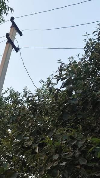 चक 28 एसटीजी
LT line फाल्ट