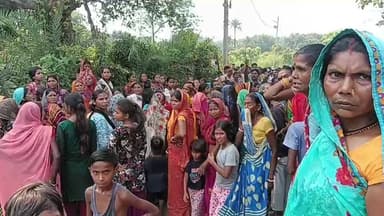 हाजीपुर के औद्योगिक थाना क्षेत्र अंतर्गत पोखर में संदिग्ध परिस्थिति में एक युवक का शव बरामद...।
#हत्या #BreakingNews #truckaccident #TruckCollision #MahatmaGandhiSetu #youngindianews #vaishali #BiharNews #patnahajipurroad #hajipurnews #hajipur