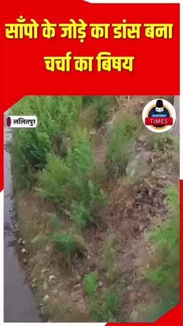 ललितपुर ब्रेकिंग इस समय चल रहे बरसात जैसे सुहाने मौसम में कल्यानपुरा के