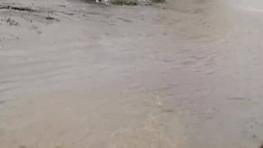 बरसात के पहले पानी में ही मोहनिया की हालत देख लीजिए नाला सफाई नहीं होने की वजह से पानी रोड पर लग गया यह नगर पंचायत मोहनिया के लिए एक इशारा है की सफाई करने वरना मोहनिया नरक बन जाएगा पानी के जल जमाव से।