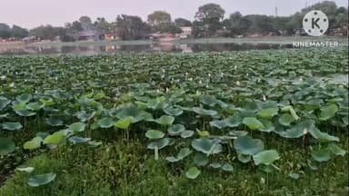 बसंतराय: वसंतराय का ऐतिहासिक तालाब फिर गंदगी की चपेट में, ग्रामीणों ने प्रशासन से नियमित सफाई की मांग की