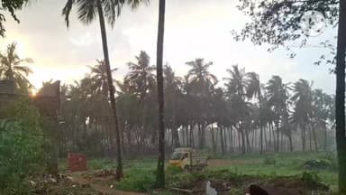 ஆம்பூர்: ஆலங்கட்டியுடன் கூடிய கனமழை காரணமாக விண்ணமங்கலம் பகுதியில் வீடு மற்றும் கோவில் மீது முறிந்து விழுந்த மரங்கள்