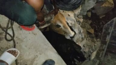 shivhar gaon mein bail fasa hai Pradhan Ne Nala nahin patwaya hai pardan ki karo bai ki jay @#