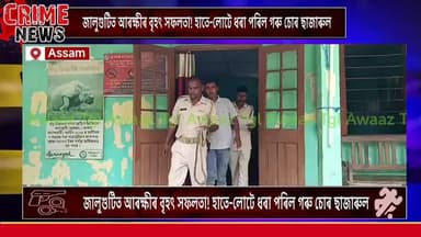 #VIDEO || জালুগুটিত আৰক্ষীৰ বৃহৎ সফলতা! হাতে-লোটে ধৰা পৰিল গৰু চোৰ ছাজাৰুল |
