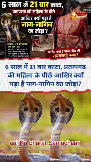 6 साल में 21 बार काटा, प्रतापगढ़ की महिला के पीछे आखिर क्यों पड़ा है नाग-नागिन का जोड़ा?