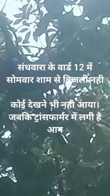 पुपरी बाजपट्टी मैन रोड पर संधवारा के वार्ड 12 में सोमवार शाम से बिजली नही ।
कोई देखने भी नही आया।
जबकि ट्रांसफार्मर में लगी है आग